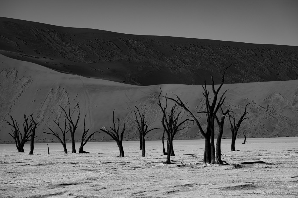 Namibia Landscape