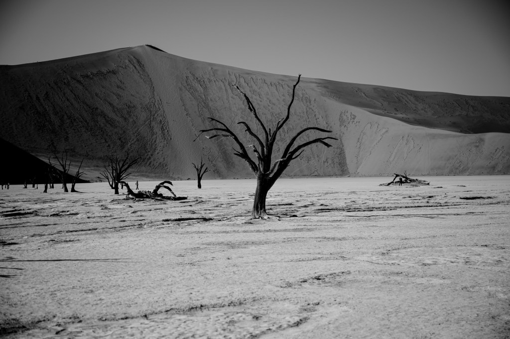 Namibia Landscape